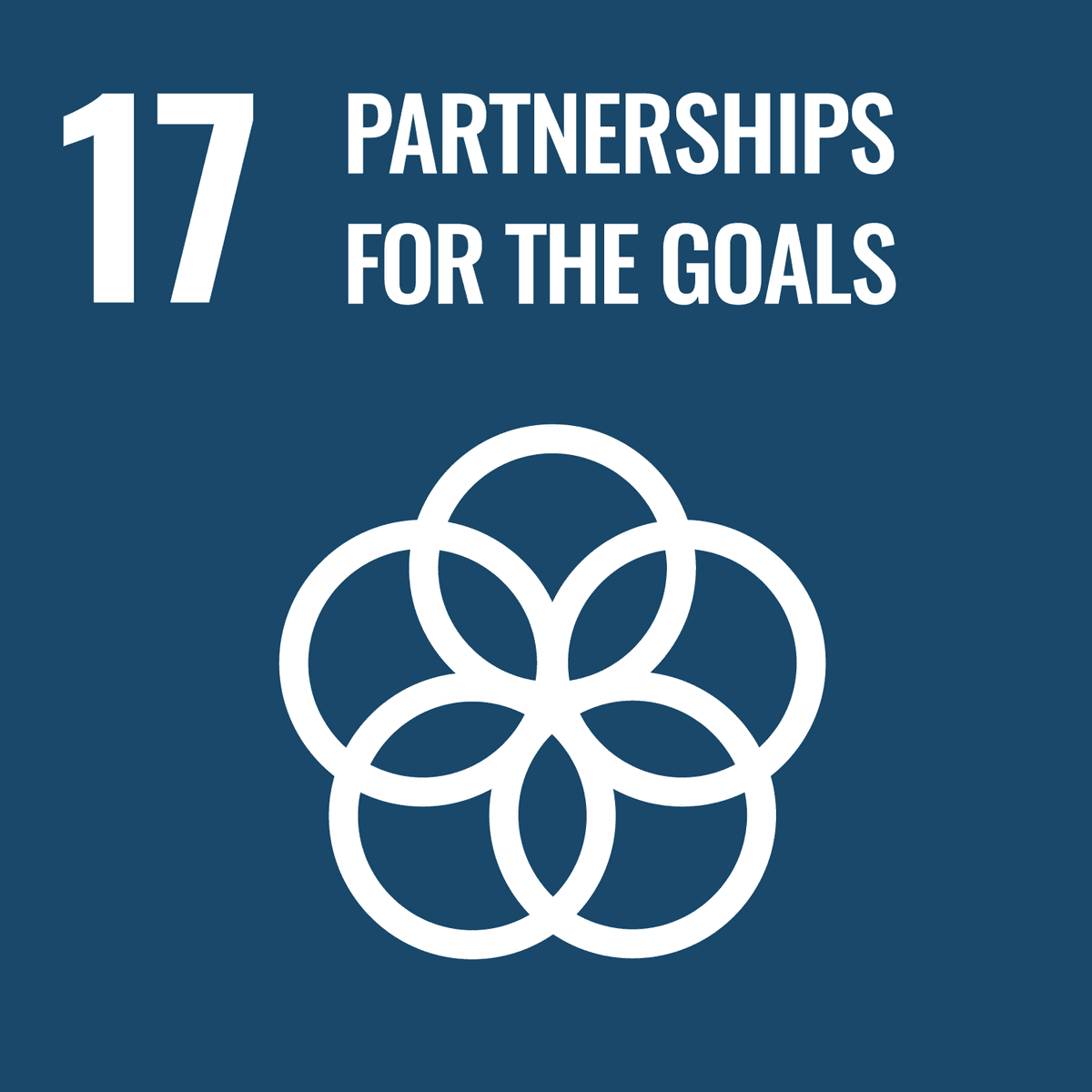SDGs 17: Partnerships for the Goals
